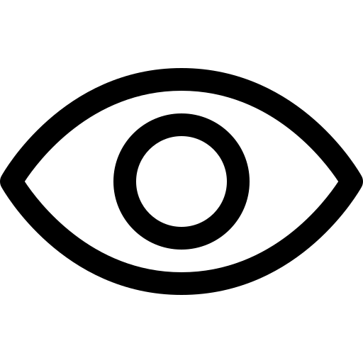 password visivility icon